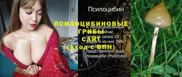 PSILOCYBIN Алексеевка