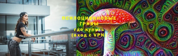 PSILOCYBIN Алексеевка
